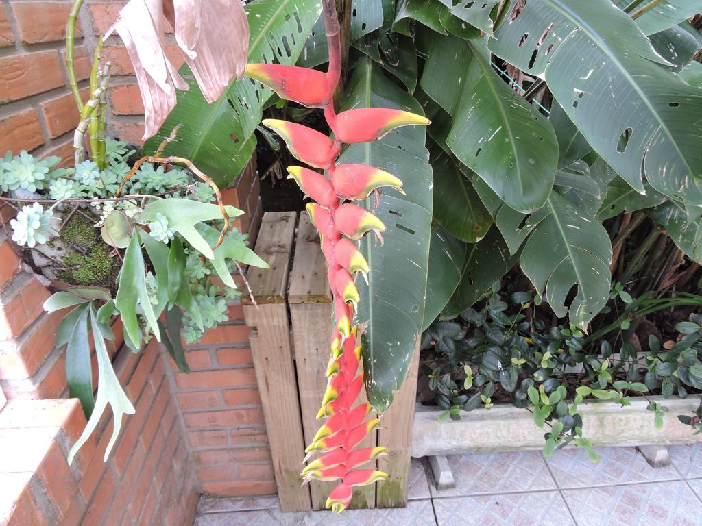 Florianópolis Pousada Don Alberto'S מראה חיצוני תמונה